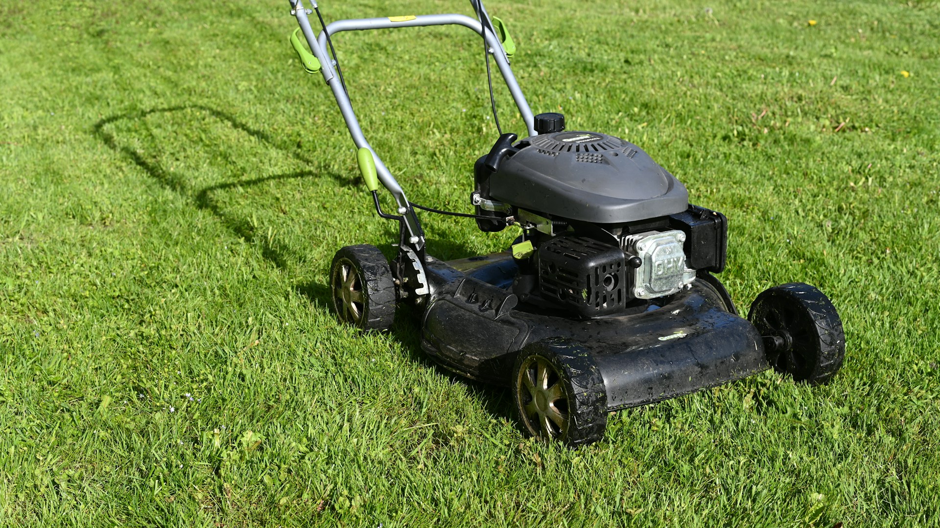 Professional lawn mowing service